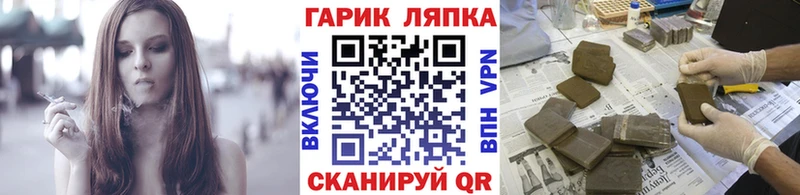 дарнет шоп  Нестеровская  ГАШИШ индика сатива 