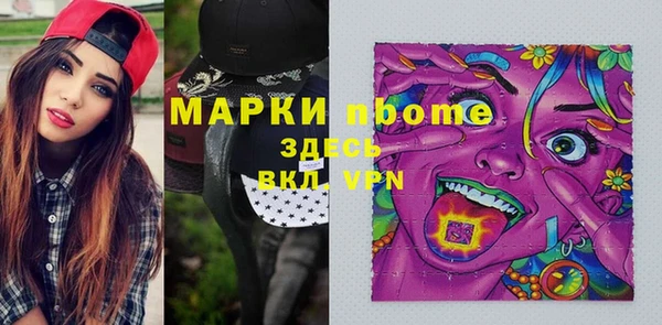 стаф Липки