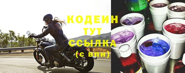 стаф Липки